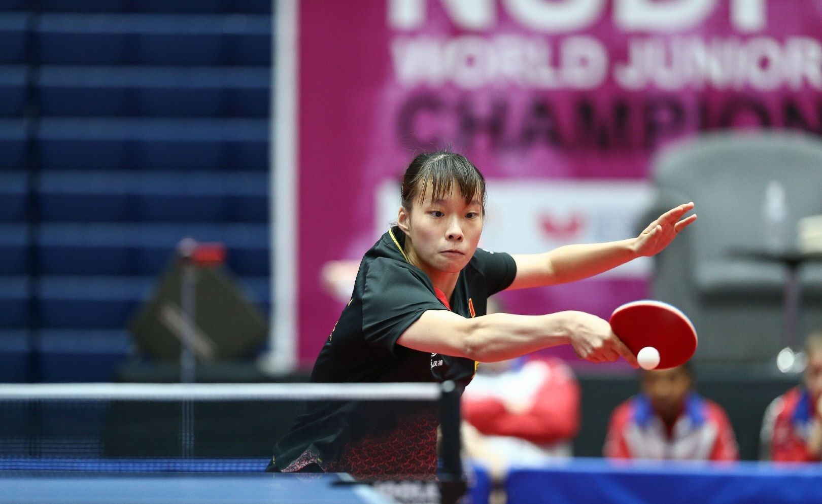 将共同抬升 将共同抬升